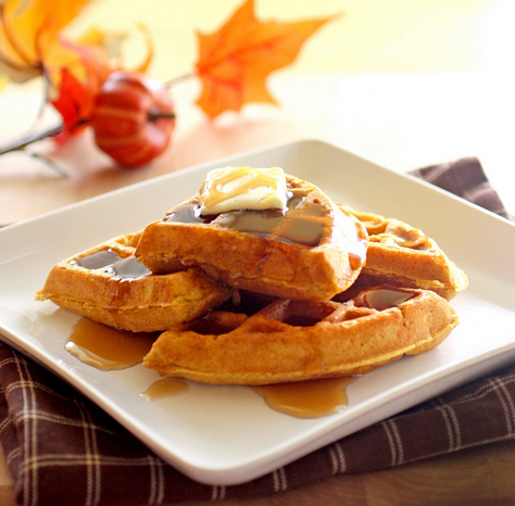 Pumpkin Waffles Yo